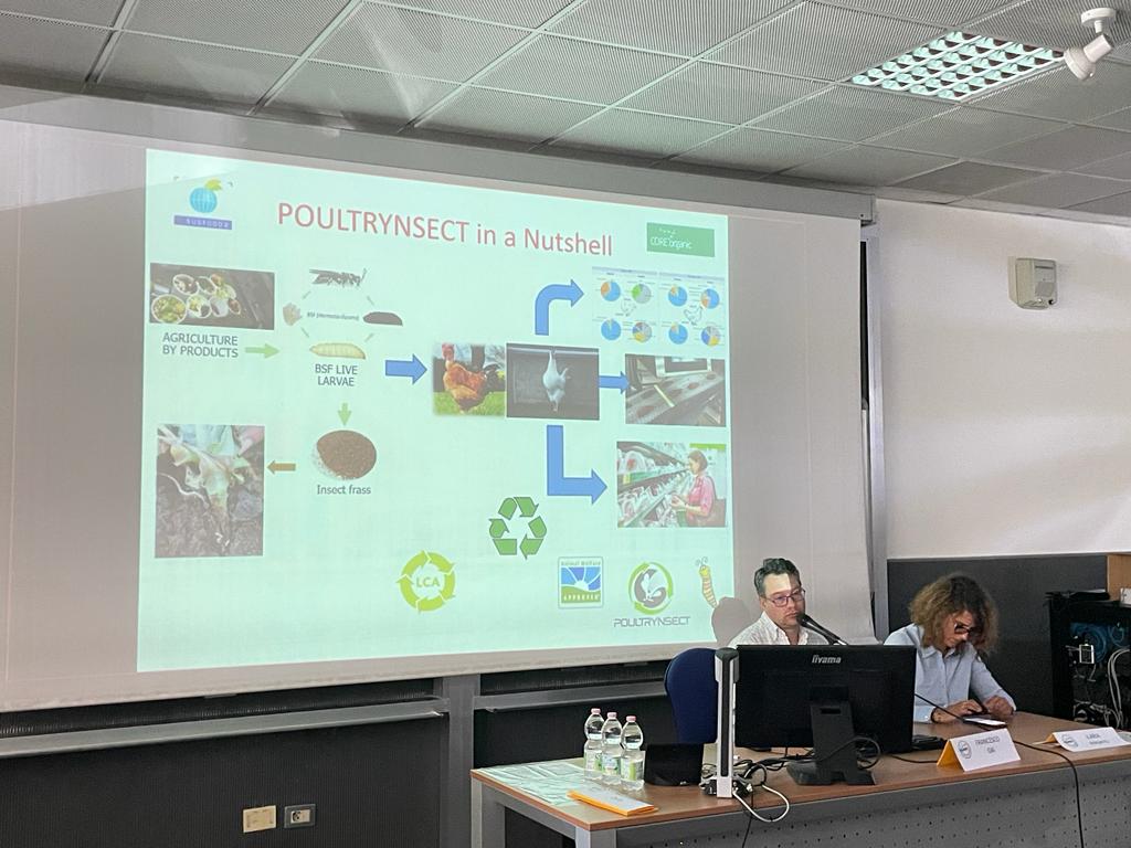 poultrynsect's tweet photo. This monday, Poultrynsect team leader Francesco Gai @CNRsocial_ was one of the invited speaker at the workshop "Economia circolare in #acquacoltura e dintorni", involving projects that stood out for their use of alternative proteins in #livestock 🐟🐓!
Thanks #newRIFF ! https://t.co/Cmqusbp06l