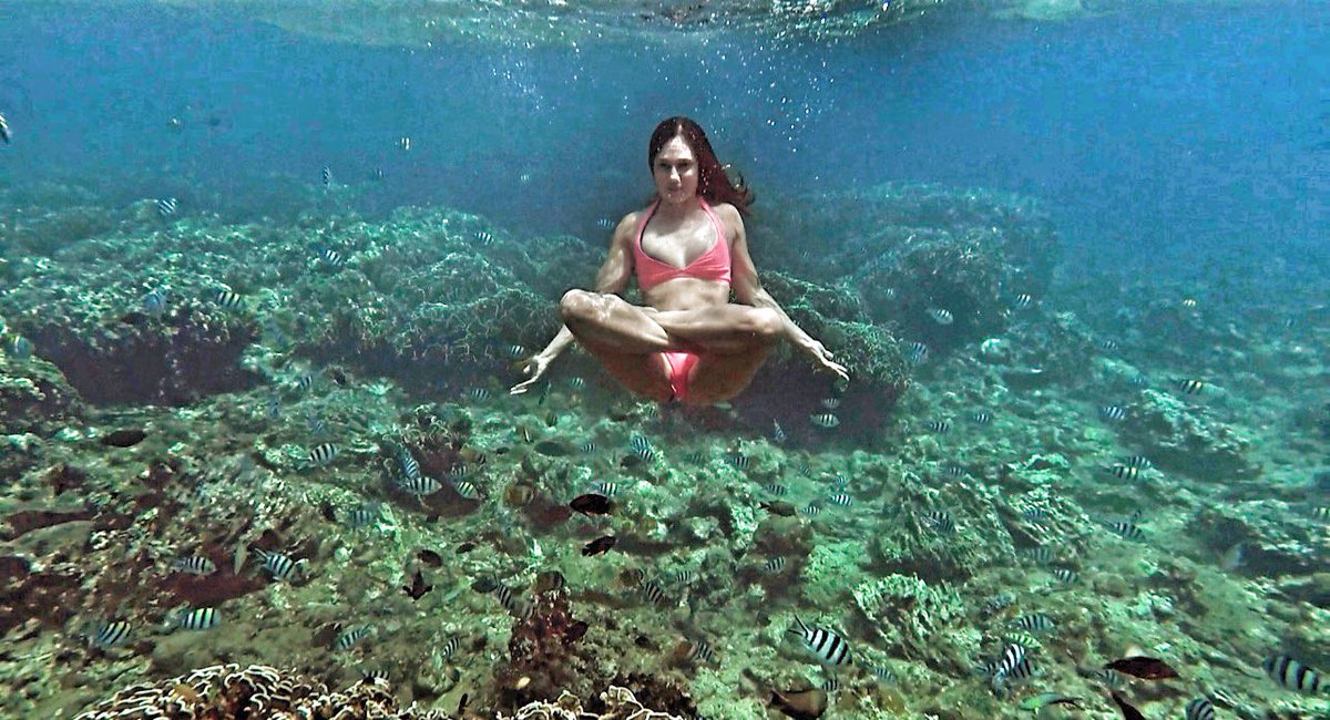 RossellaCanevari tweet media