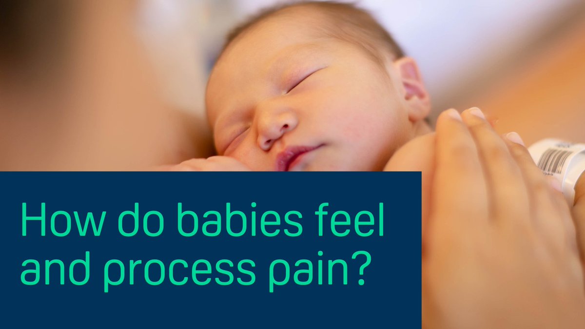 We recently awarded a #ChangingPolicyAndPractice grant to <a href="/LFabriziUCL/">Lorenzo Fabrizi</a>
who has used brain imaging to explore how babies experience pain 🧠 

➡️Dr Fabrizi will now be able to share guidance that will help clinicians better monitor and manage pain in babies: bit.ly/3oiGLHn