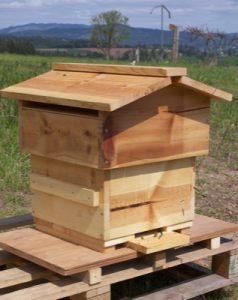 Magdalena writes:
My name is Magdalena and I'm an aspiring beekeeper from Cheltenham looking for a tree to place my first hive box on. I thought about orchards because of the benefit the bees could provide by pollinating fruit trees in the spring, in

glosorchards.org/home/blog/2023…