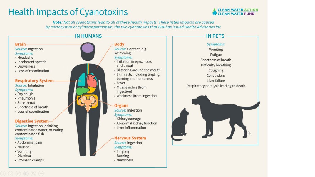 @FredONe35308471 @Sam_and_the_dog @EnneaGr8 We've known it can be lethal to pets, we could use more research on what it does to us.