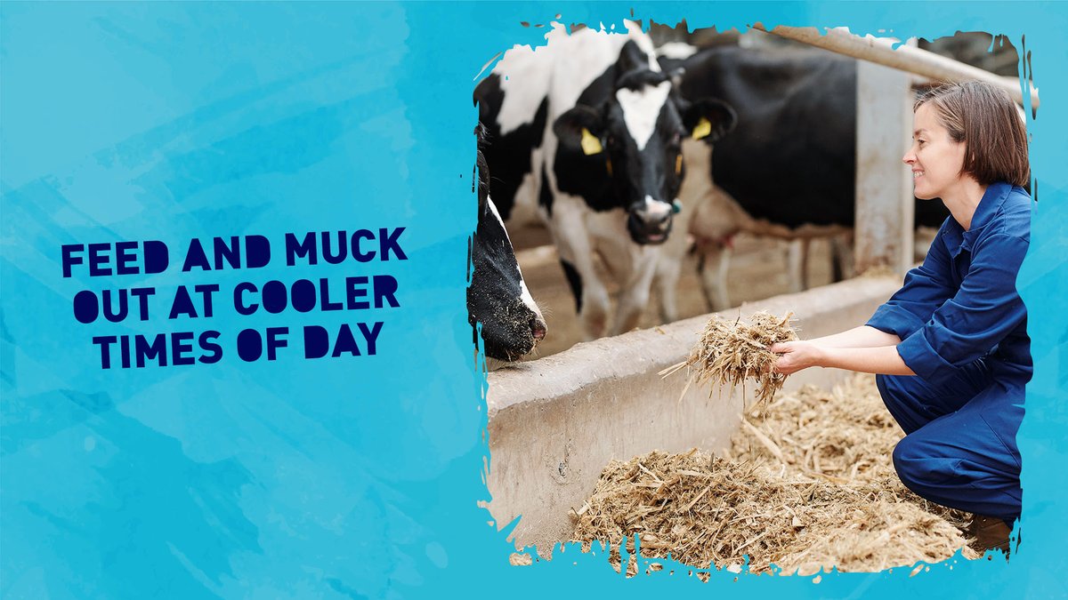 CALFMATTERS tweet media