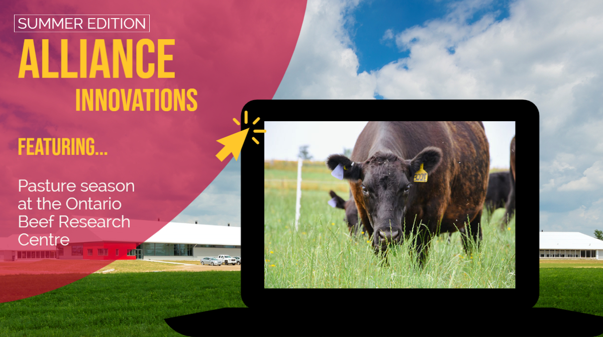 Ontario Agri-Food Innovation Alliance tweet media