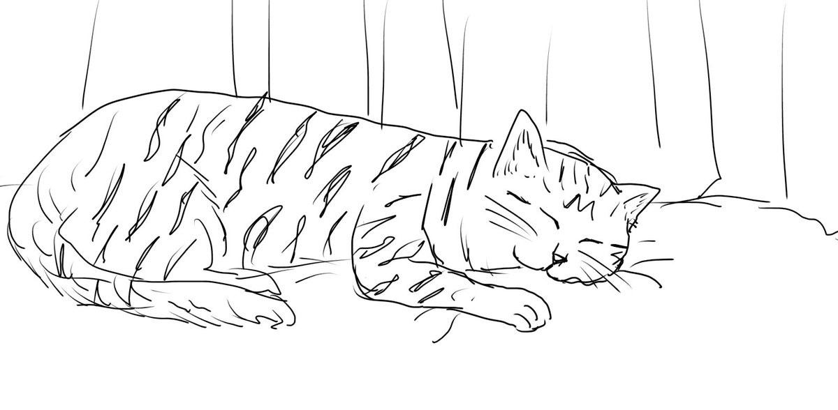 フォロワーのスヤスヤねこが可愛かったので描いた https://t.co/sVIcibY4Fm