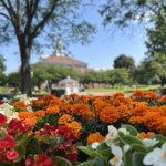 Photo by Western New England University (@WNEUniversity)