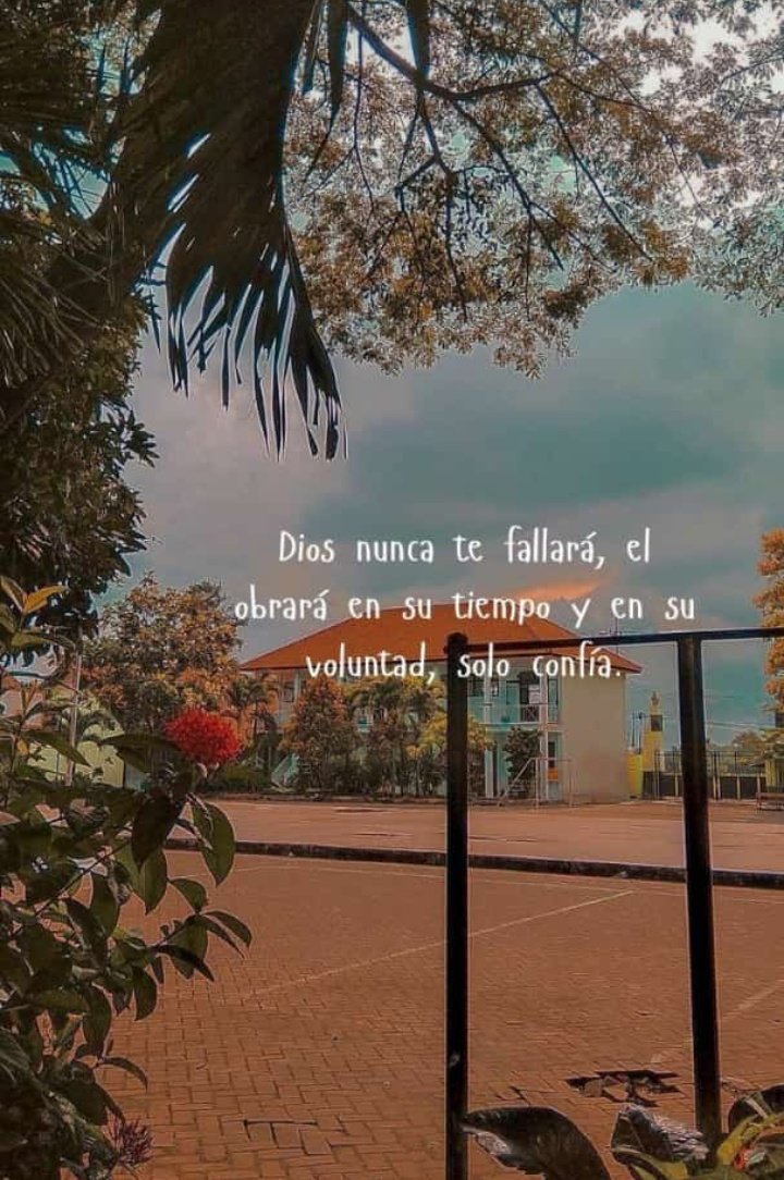 Joel Ernesto Colina (@joelcolina201) on Twitter photo Dios nunca te Falla el obra en su tiempo y en su voluntad,
solo confía 💖✨🩵
#PatriaProductiva
<a href="/Maria2233447/">Maria de los Angeles</a> <a href="/Joelcolina201/">Joel Ernesto Colina</a>
<a href="/jesus372333/">mildre</a> <a href="/jeankarlosg1/">✨Angeles✨</a> <a href="/KarolSalas89/">🌴🌴🥥Karol Salas🥥🌴🌴</a> <a href="/SoyYolit2/">Yolimar</a>
<a href="/freddyp44055243/">FreddyParedes</a> <a href="/mar_isa32/">💐✨𝗠𝗮𝗿𝗶𝘀𝗮✨💐</a>
<a href="/cpmarp21/">CpMarp21 🐾🐾</a> <a href="/nesyhu2/">nesyhu2</a> <a href="/Maria2233447/">Maria de los Angeles</a> <a href="/AndreaM151095/">Andrea😻</a>
🩵💚🩵💚🩵💚🩵💚🩵 Dios nunca te Falla el obra en su tiempo y en su voluntad,
solo confía 💖✨🩵
#PatriaProductiva
<a href="/Maria2233447/">Maria de los Angeles</a> <a href="/Joelcolina201/">Joel Ernesto Colina</a>
<a href="/jesus372333/">mildre</a> <a href="/jeankarlosg1/">✨Angeles✨</a> <a href="/KarolSalas89/">🌴🌴🥥Karol Salas🥥🌴🌴</a> <a href="/SoyYolit2/">Yolimar</a>
<a href="/freddyp44055243/">FreddyParedes</a> <a href="/mar_isa32/">💐✨𝗠𝗮𝗿𝗶𝘀𝗮✨💐</a>
<a href="/cpmarp21/">CpMarp21 🐾🐾</a> <a href="/nesyhu2/">nesyhu2</a> <a href="/Maria2233447/">Maria de los Angeles</a> <a href="/AndreaM151095/">Andrea😻</a>
🩵💚🩵💚🩵💚🩵💚🩵