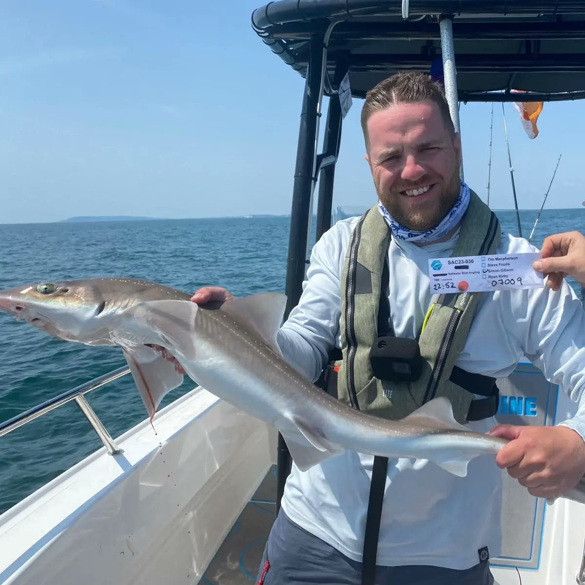 Saltwater Angling Media tweet media