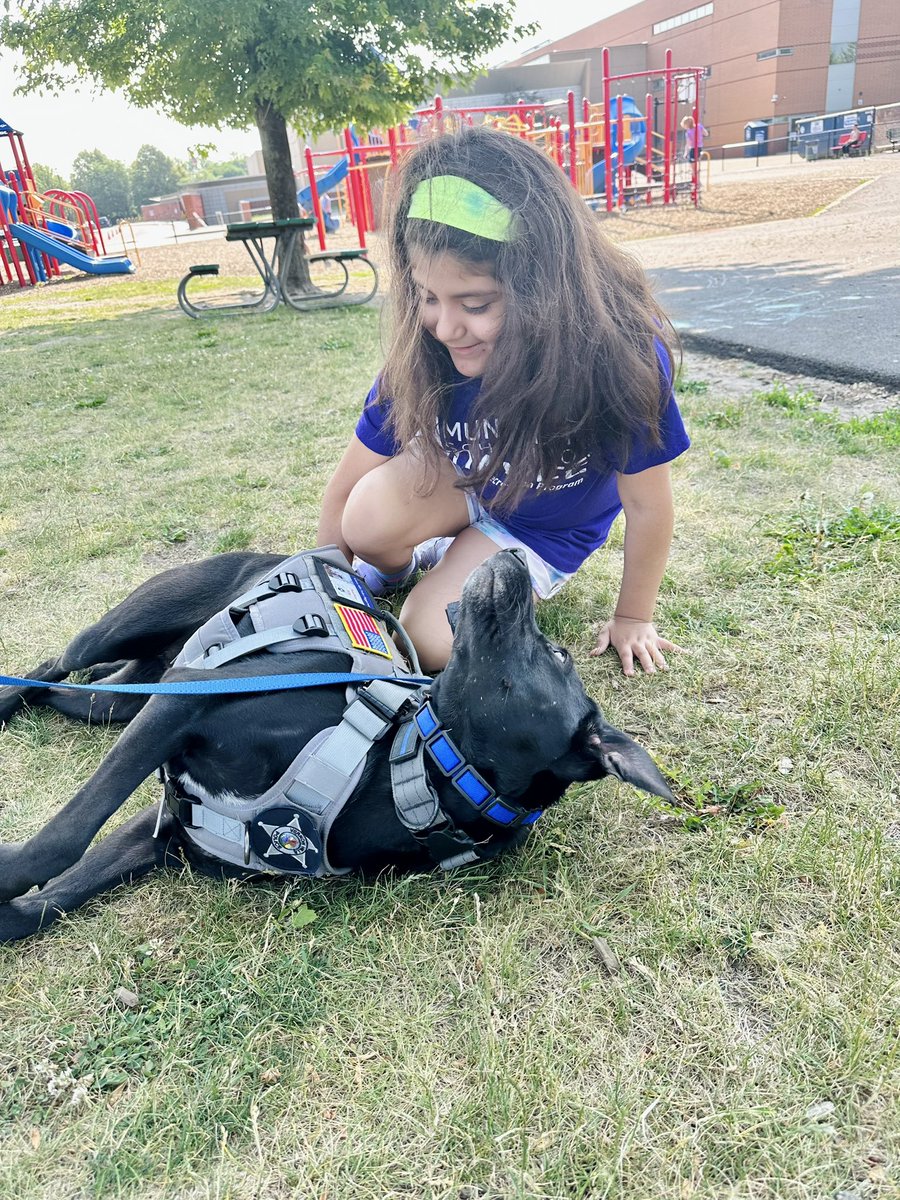 Allison Wengerhoff tweet media