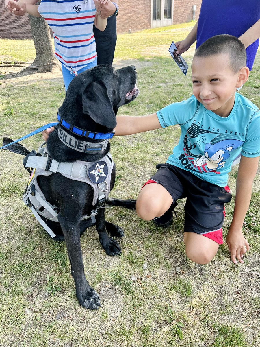 Allison Wengerhoff tweet media