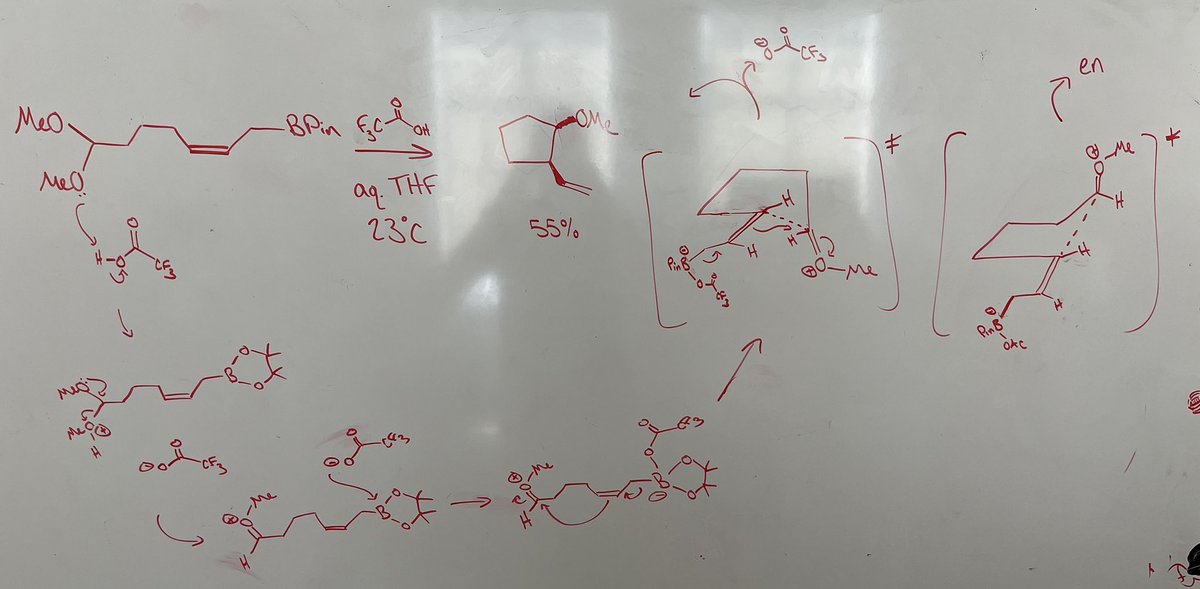 Our submission for this week’s #mechanismmonday ! Any thoughts on stereochemical outcome? Our best guess was that orbital alignment is better in the depicted enantiomer. We thought the main loss of yield would come from TFA hydrolysis of the BPin to make boronic acid