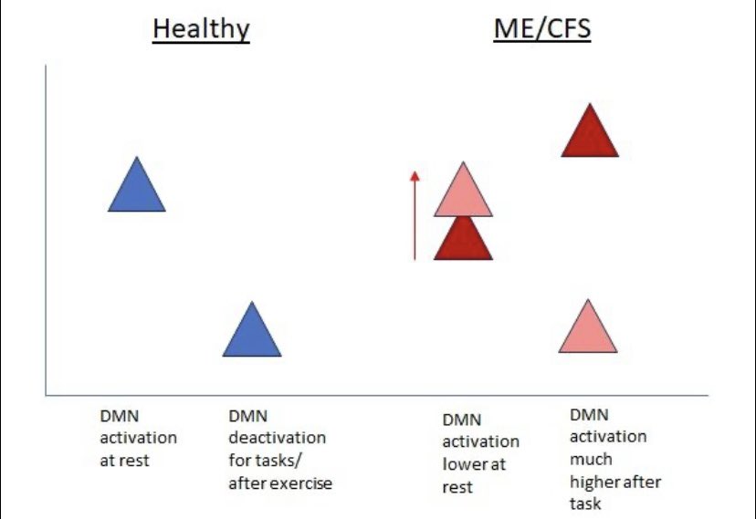 Based on this diagram (adapted  - not to scale!) what we need to do is increase resting DMN: promoted by meditation, yoga nidra, tVNS, microbiome modifications, reducing overall inflammation, the functional medicine approach to this complex condition we are all trying