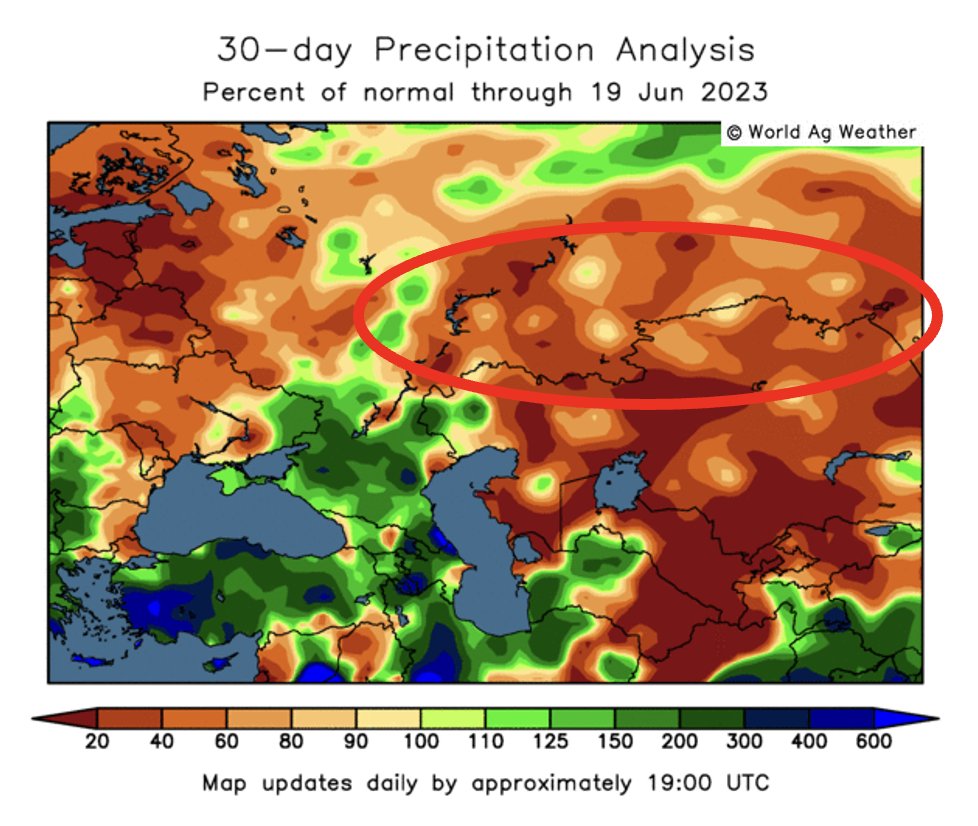sizov_andre's tweet photo. And let's add insult to injury....it seems that the new Russian #wheat crop is not looking that great thanks to the spring wheat drought

Reuters: SovEcon analysts lowered its 23/24 Russian wheat harvest forecast to 86.8 mmt, down 1.2 mmt 

More: https://t.co/YFvKN7KxBK 

#oatt #agwx