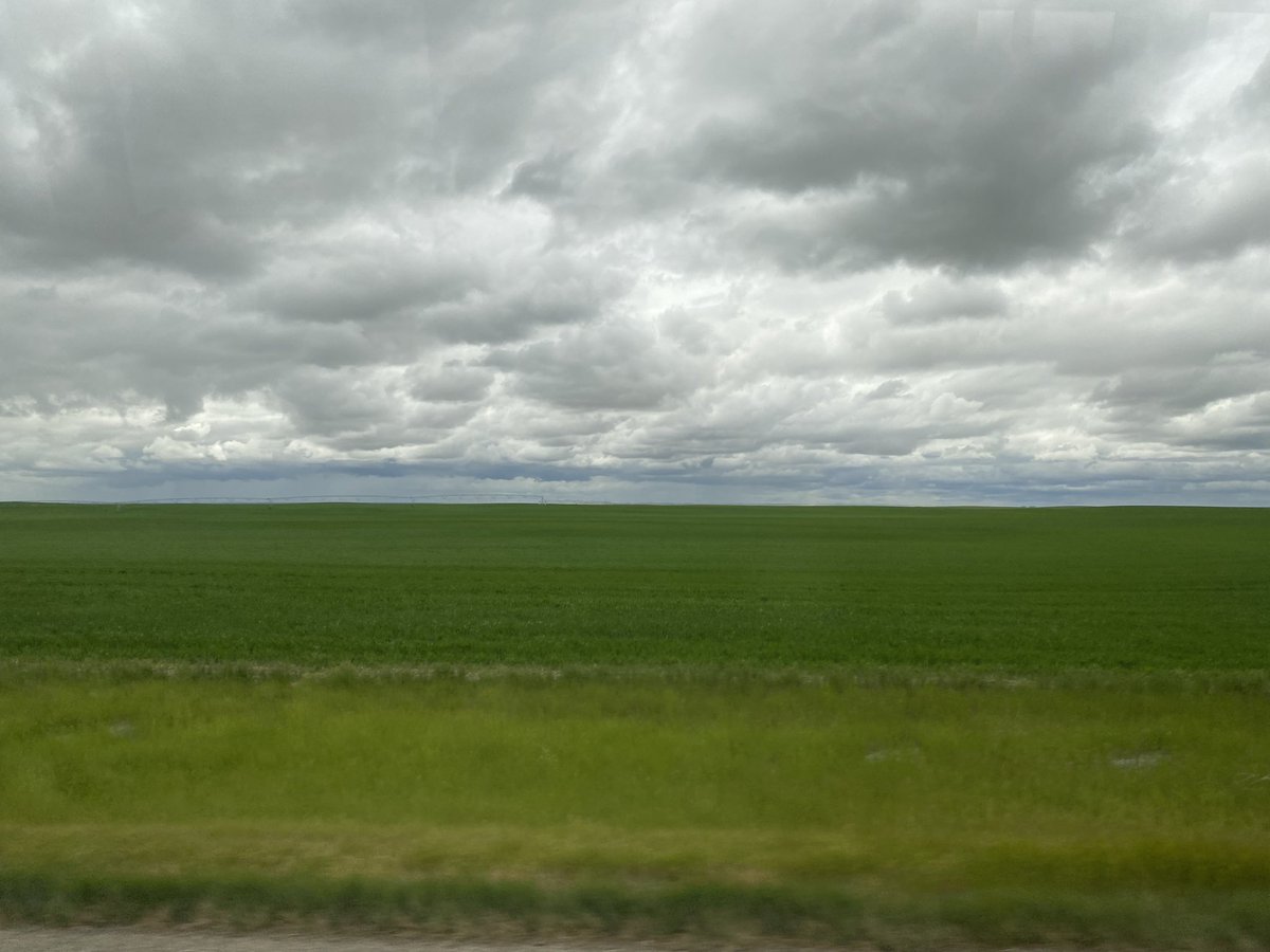 LAN Washington tweet media