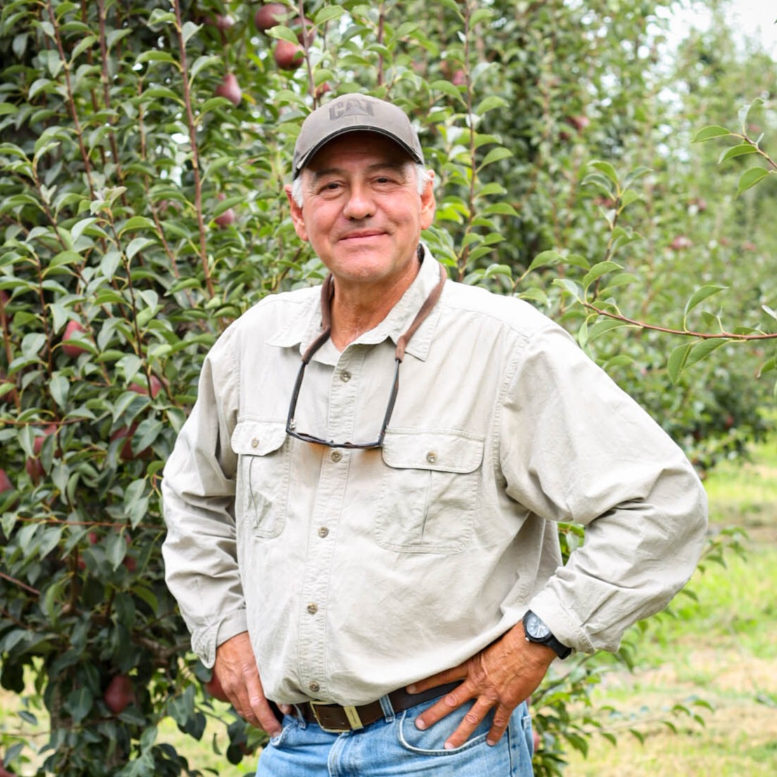 Cal_Pear's tweet photo. Today is the first day of summer and California pear farmers are getting ready for the wonderful pear season that is yet to come!
Learn about #CApear farmers' role in #FarmtoFork: https://t.co/kSqTqKQEor https://t.co/H5jRQKBVyb