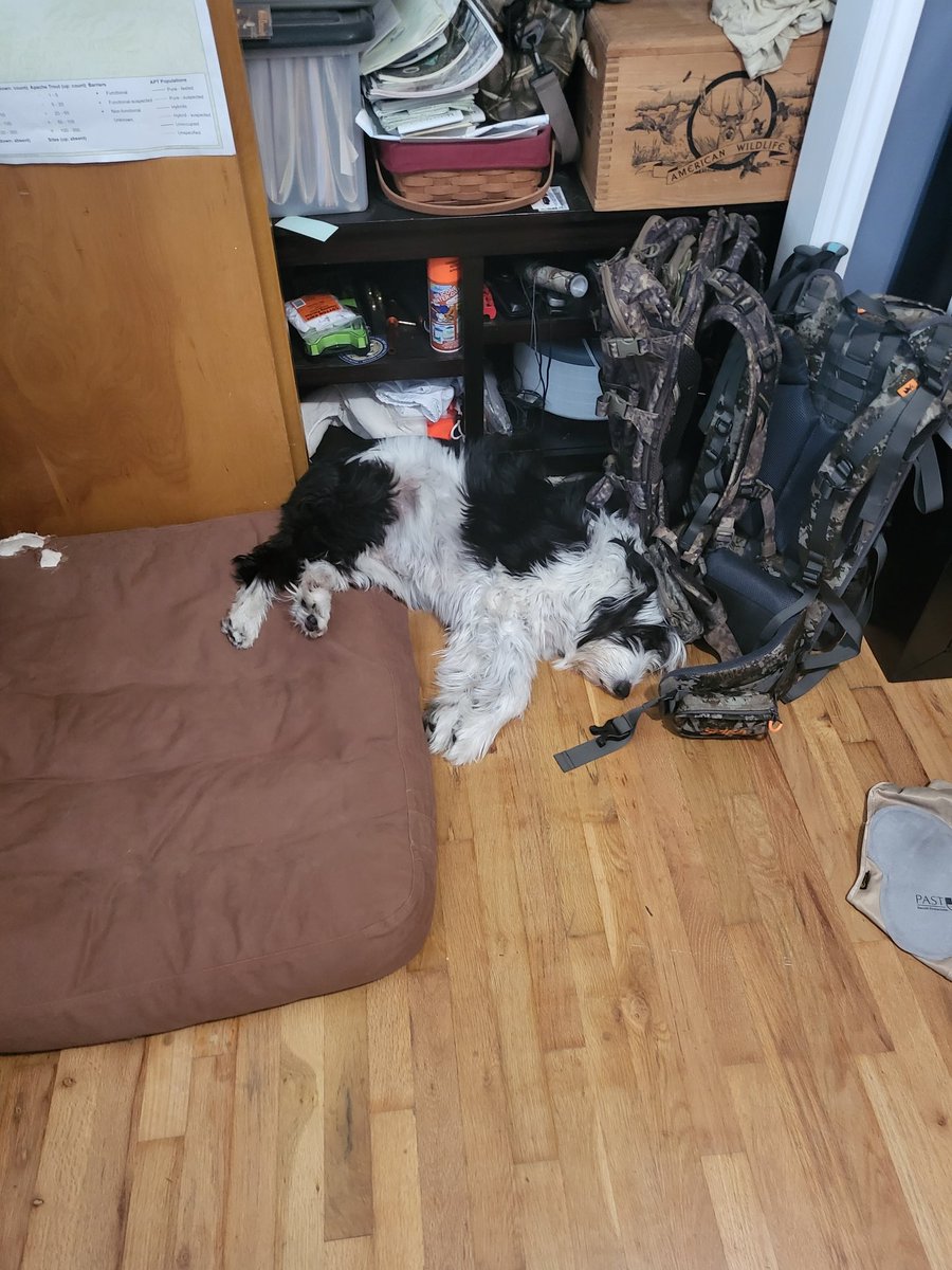 DDauwalter's tweet image. The #roughlife #idahoshag