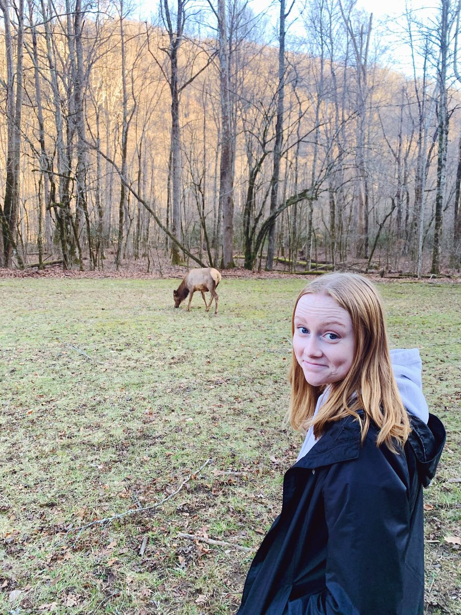 _colby_collins's tweet photo. National Park 5/63
A little delayed but we visited the Great Smoky Mountains NP over New Years. Plenty of Elk and Plenty of Views! https://t.co/qEzEe47Ck2