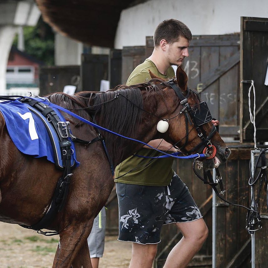 @ShamsCharania @TheAthletic @Stadium Now if you are Bruce Brown here, you have to strike when the iron is hot: a concept he learned watching Jokic make horseshoes from scratch in Serbia.