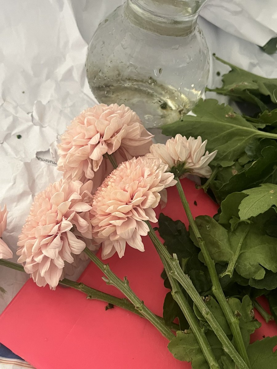 free fresh flowers from wkf💗 dapet 1 iket tp kita bagi 2🤩
