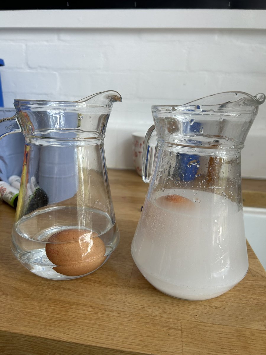 Willow learnt that adding salt to water will make the egg float! #ScienceWeek