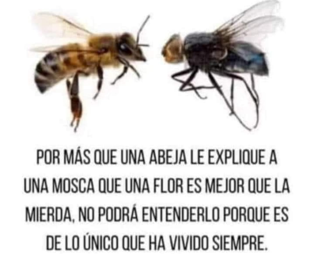 Fer37848767's tweet photo. @raulrioscavada @chiledijono @VeronicaWelkner No por nada mastikaste 20 años de picoenleojo...la costumbre de la dihsnidá👀 https://t.co/aHqSYg89tq