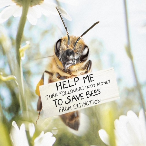 Please retweet this to obtain a worlwide ban on pesticides. 😡🐝
👉change.org/SaveTheBee 🆘 #LVMH