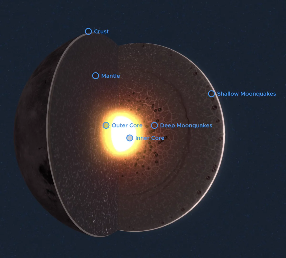 Artistic image of the interior of the Moon. A wedge of a globe is cut out to reveal - from the center of the globe moving out - a bright white inner core, a yellow outer core, a very thick mottled brown mantle and a thin layer of light gray crust. 