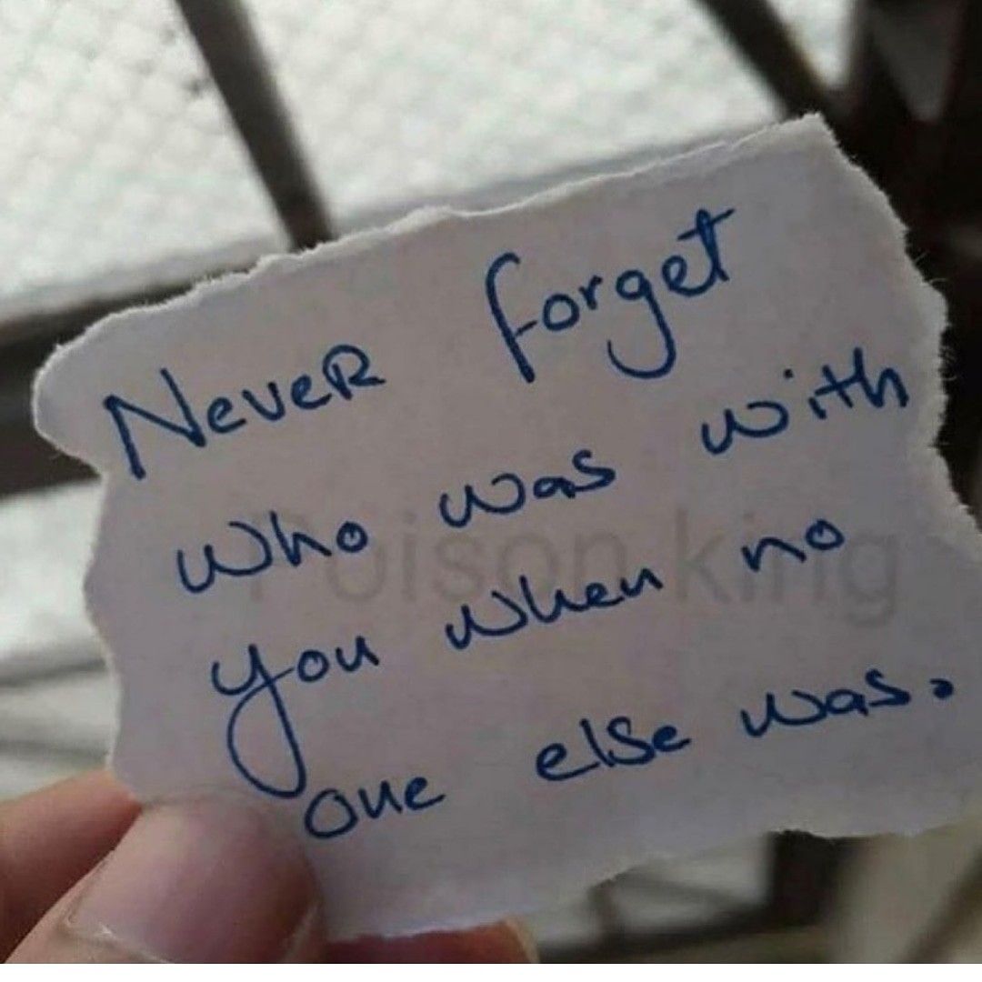 wise_chimp's tweet image. Never