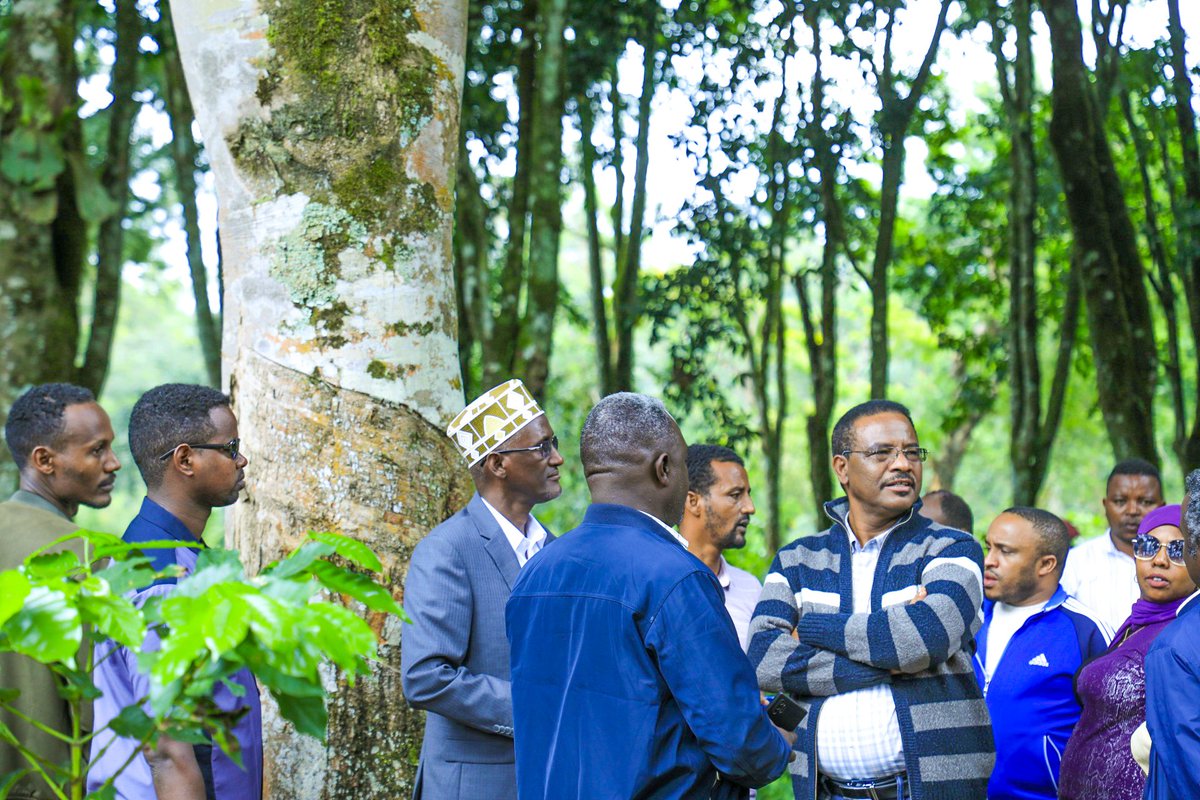 በደቡብ ምዕራብ ኢትዮጵያ ክልል እንዲሁም በጅማ ዞን በተለያዩ ስፍራዎች ማራኪ ገጽታ ያላቸውን ተፈጥሮዎችን እንዲሁም የአርሶአደሩ ማህበረሰብ ጥንካሬ መገለጫ የሆኑ የተለያዩ እርሻዎችን በመመልከቴ ታላቅ ደስታ ተሰምቶኛል።