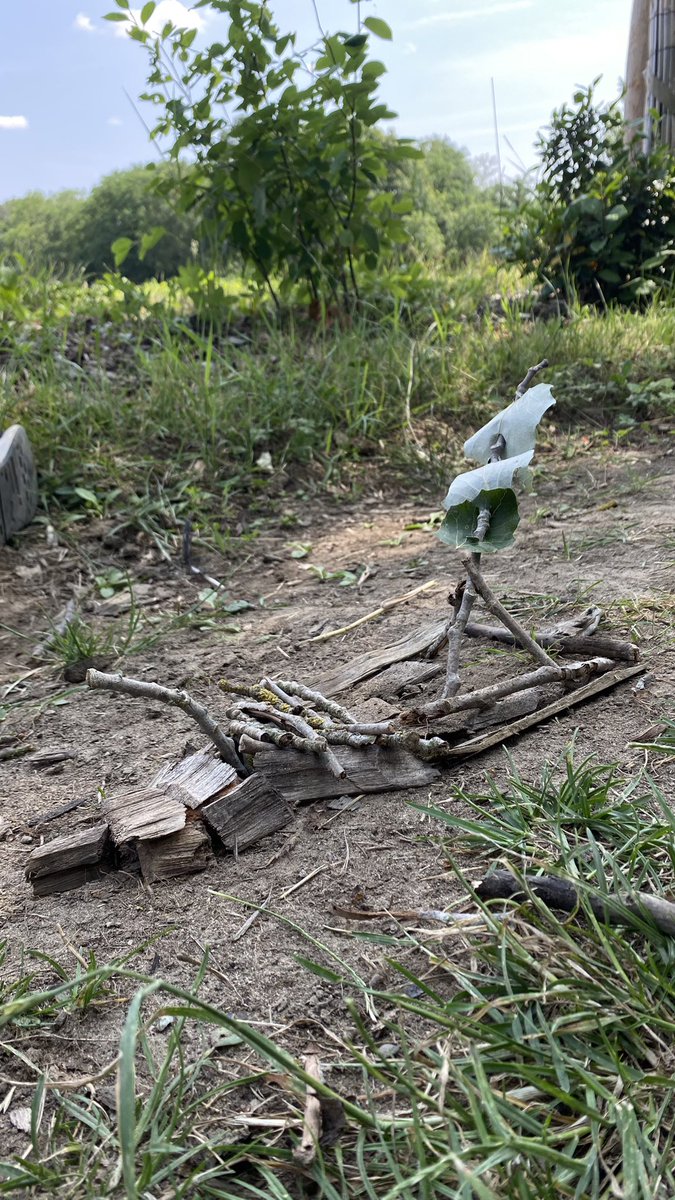 CollegeRecey's tweet photo. 🚤💦 Nous laissons derrière nous une belle découverte de la #Loire et un atelier #landart. Nous sommes désormais sur la route du retour. https://t.co/Oc1At5ogkm