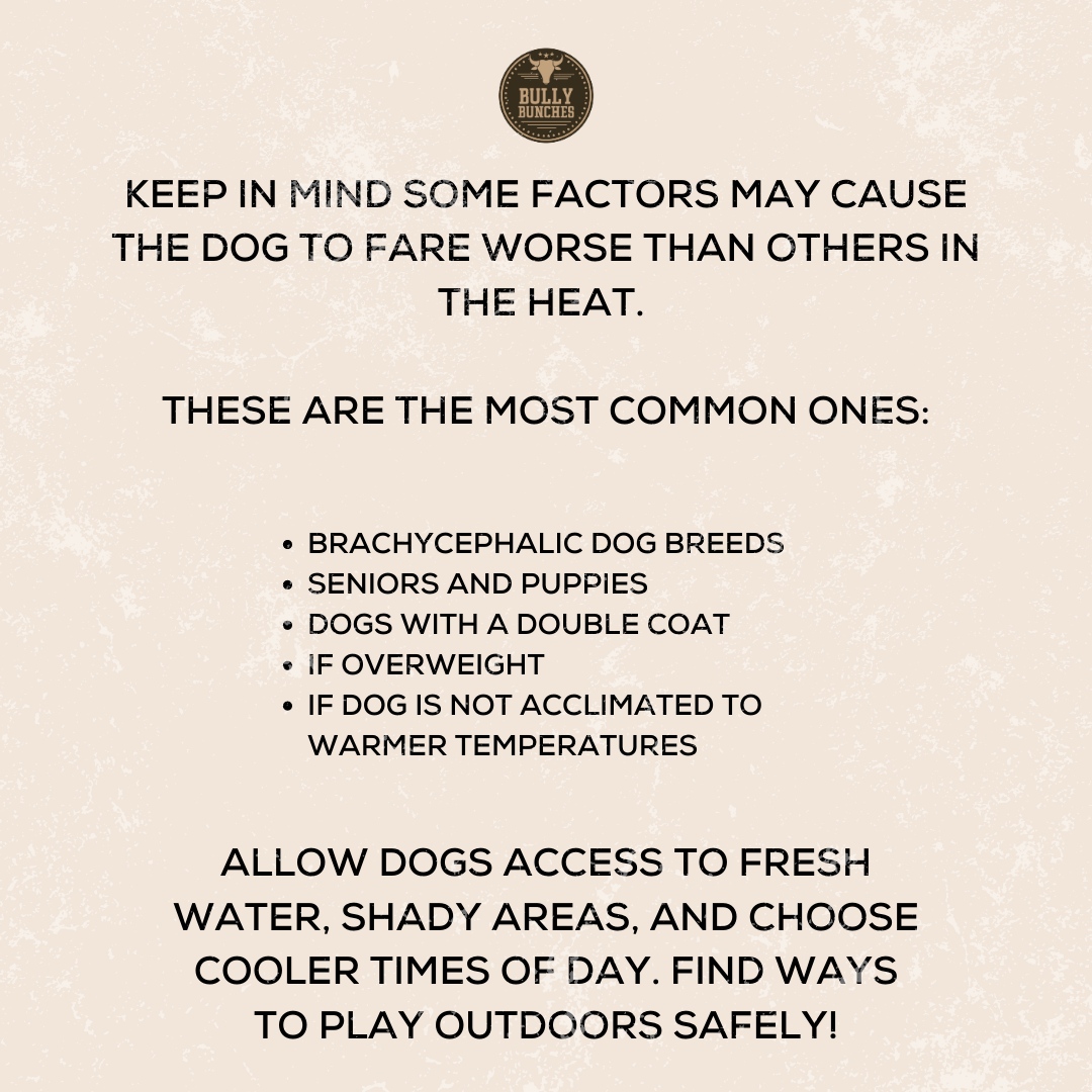 Bully Bunches tweet media