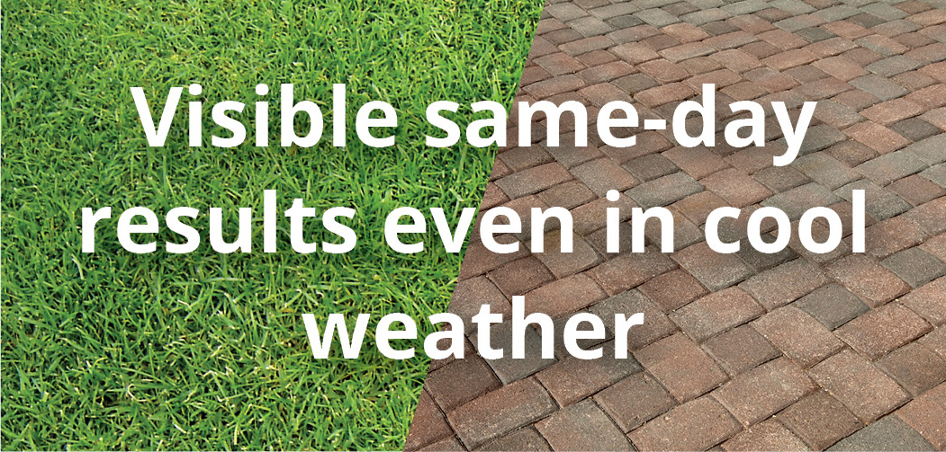 Fiesta and Finalsan: A one-two punch for annoying weeds! Two effective solutions from Neudorff for weed control—Fiesta targets broadleaf weeds while preserving grass. Finalsan eliminates weeds, moss and algae from hard surfaces. - mailchi.mp/neudorff/fiest…