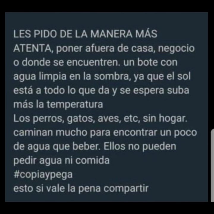 Havana Zima tweet media