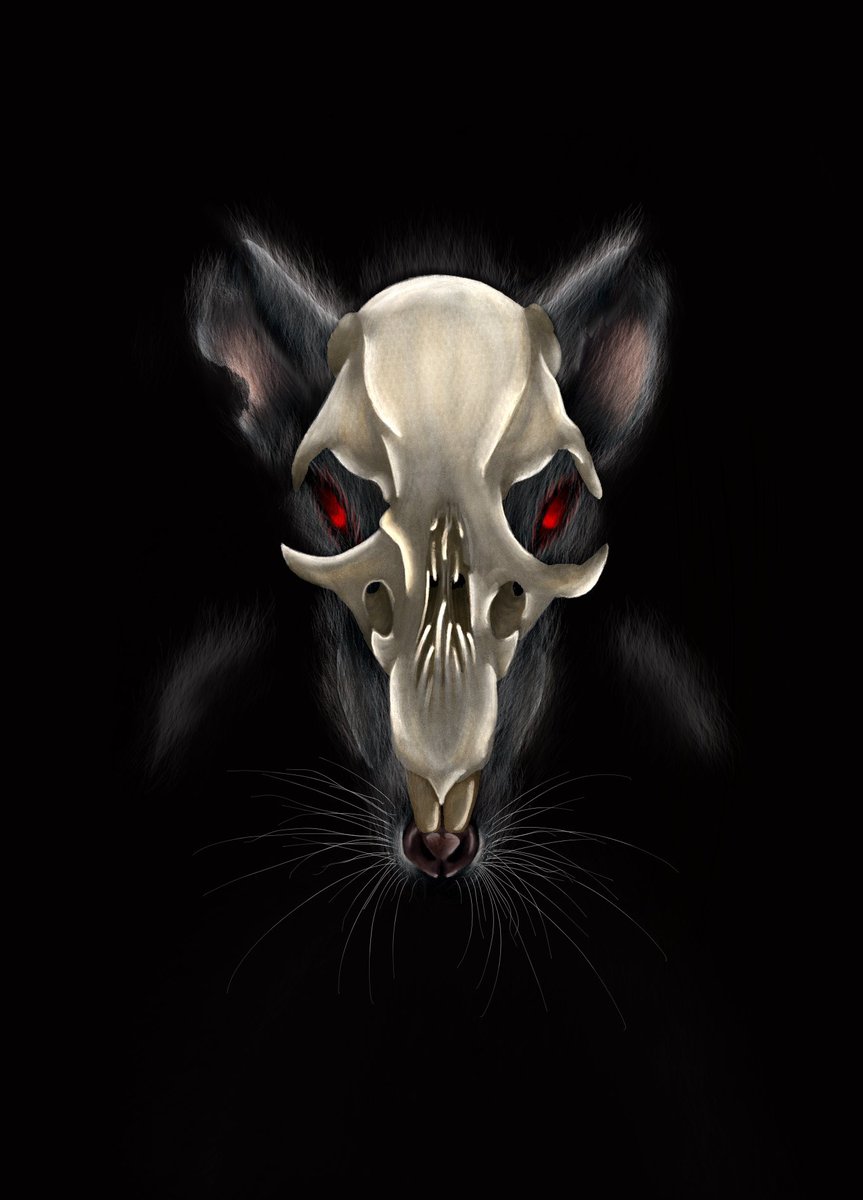 TheBigFrankieG's tweet image. Hi, I'm Frankie and I'm new to the art world, let's do an art share and let me see your amazing works! This is my first piece, any skull lovers?! No AI or NFTs". follow  me for my art journey.  ☺️. #artshare #new #firstgo #digital #rat #skull