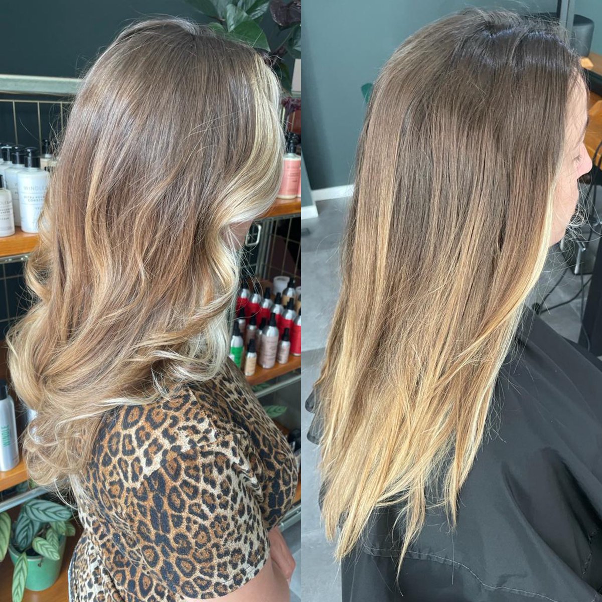 AvecChey's tweet image. Met trots wil ik mijn creatie met jullie delen! Met een kleur&amp;amp;knip afspraak van 4u heb ik dit prachtige resultaat kunnen behalen! 

#kapster #balayage #highlights #ombre #olaplex #kapper #leiden