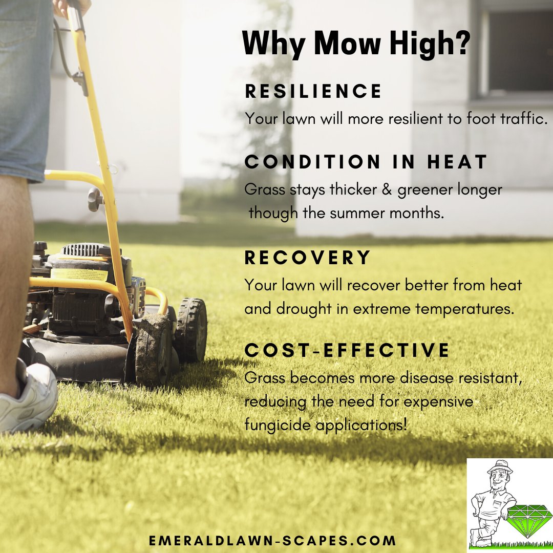 We know it's tempting but don't mow too short! Here's why. 👇

Visit the 'care tips' tab on our website for more ways to help your lawn look its best- emeraldlawn-scapes.com/care-tips/3287….

#EmeraldLawnNJ #EmeraldLawnScapes #NJLawnCare #NJLandscaper #MorrisCounty #BoontonNJ #NJSmallBusiness