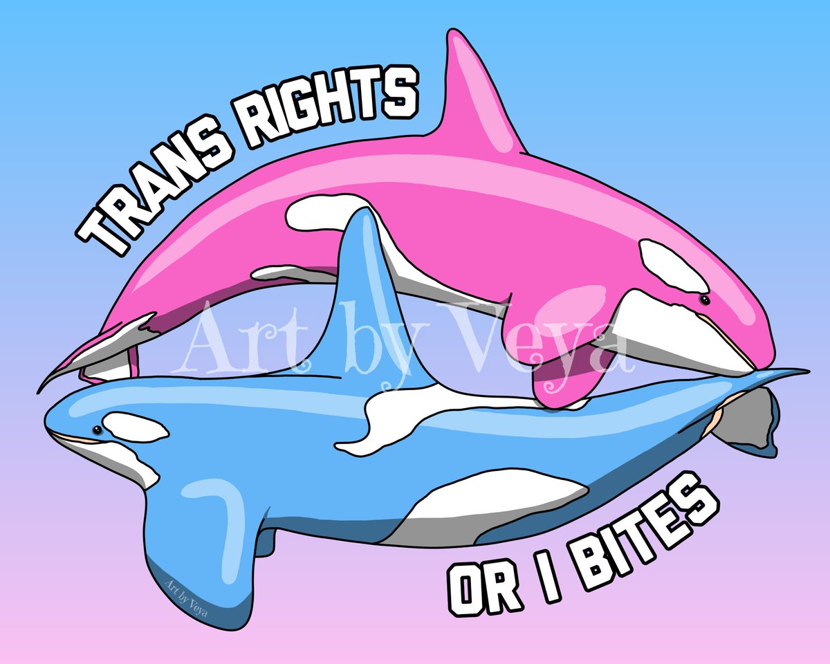 stellaluna 🌒 🦇 on Twitter: