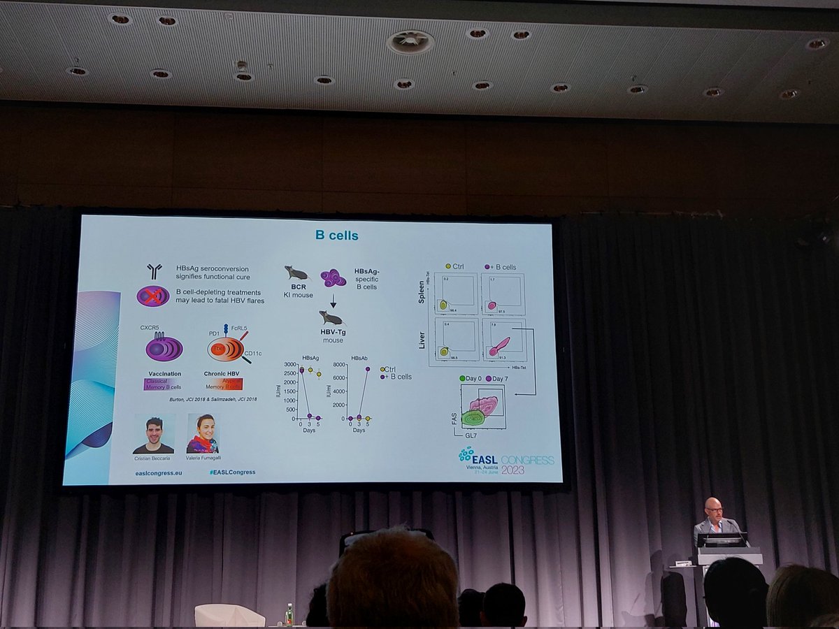 Great overview of the adaptive immune response in the liver made by @iannaconelab at #EASLCongress in Vienna. Honored to be part of the lab and to be involved in this work! 1 out 3 presentations done!