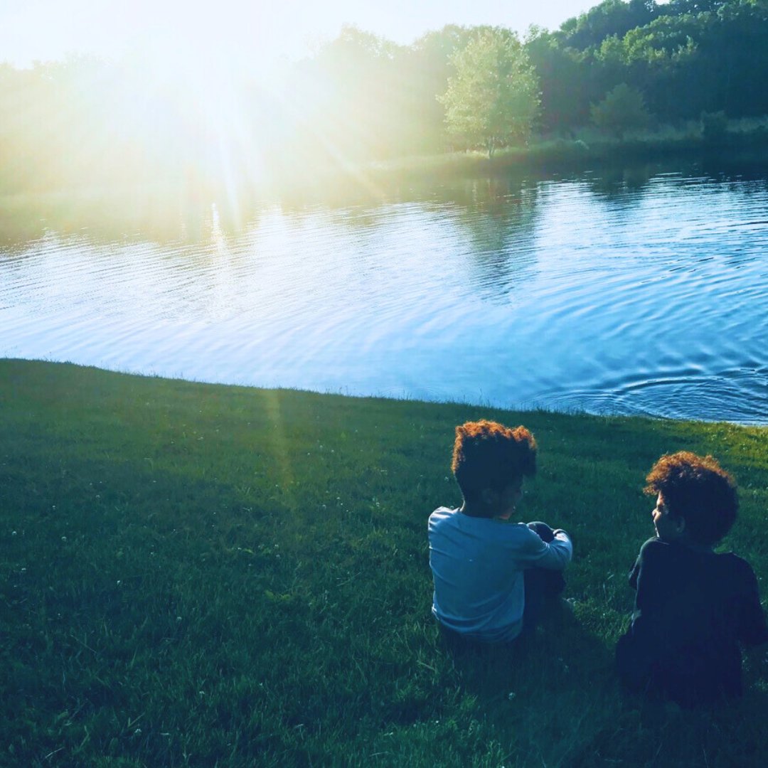 Happy summer solstice! It's the longest day of the year. Relax on a toxic-free lawn, dip your toes in a pond, stop to smell the native flowers, and sing with the birds. Celebrate a PRFCT summer with us!  #perfectearthproject #NatureBased #234Birds 📸 @melissasozawa