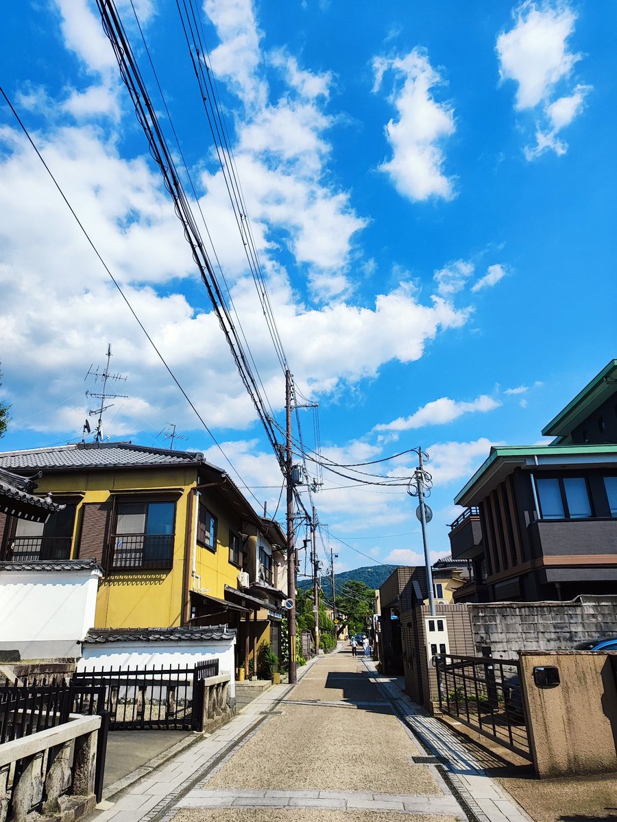 TouHouDF's tweet photo. 日本 day4 https://t.co/myTElj2SiO