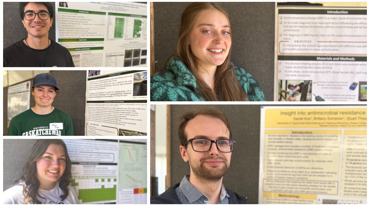 WCVM Today (@wcvmtoday) on Twitter photo #WCVM graduate students whose research work is based at <a href="/LFCE_usask/">Livestock & Forage Centre of Excellence</a> presented their findings in poster form at the LFCE Summer Field Day yesterday. #LFCE #livestock #research #WCVM graduate students whose research work is based at <a href="/LFCE_usask/">Livestock & Forage Centre of Excellence</a> presented their findings in poster form at the LFCE Summer Field Day yesterday. #LFCE #livestock #research