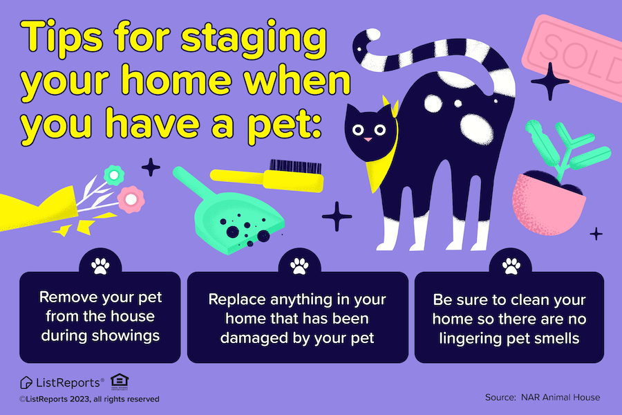As your trusted real estate agent, I can show you how to stage your home beautifully while keeping your pets happy. 🐶🐱💖 #thehelpfulagent #home #houseexpert #house #listreports #homeowners #happyhome #happyhomeowners #realestate #realestateagent #realtor #hometips #icanhelp