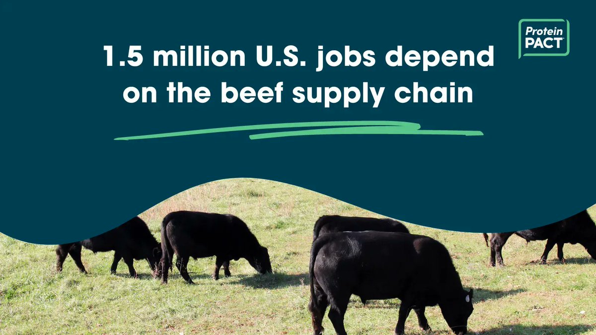TheProteinPACT's tweet photo. Did you know 1.5 million jobs in the U.S. depend on the beef supply chain? #EatBeef to support livelihoods and the economy -- it's that simple! #SustainableBeef #USRSB
https://t.co/yJdoNJoy49 https://t.co/6KWWAUe7It