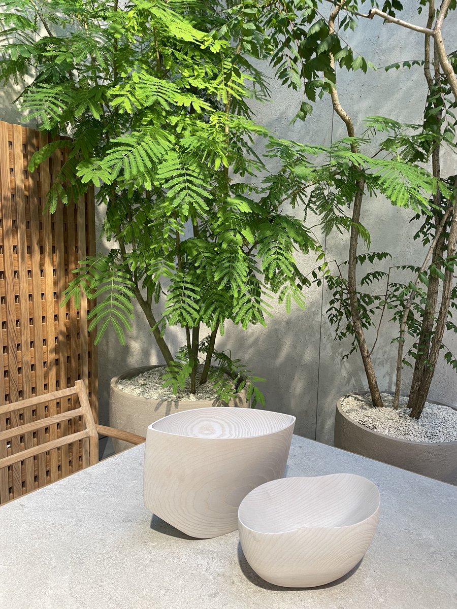 One of the easiest ways to introduce biophilic design to your home is through live plants.

#biophilia #biophilicdesign #biophilicmeaning #biophilicdesigninterior #biophilichomes #biophilicdesignhome #lifestyle #miamidecor #coconutgrove #Pinecrest #CoralGables #aventura