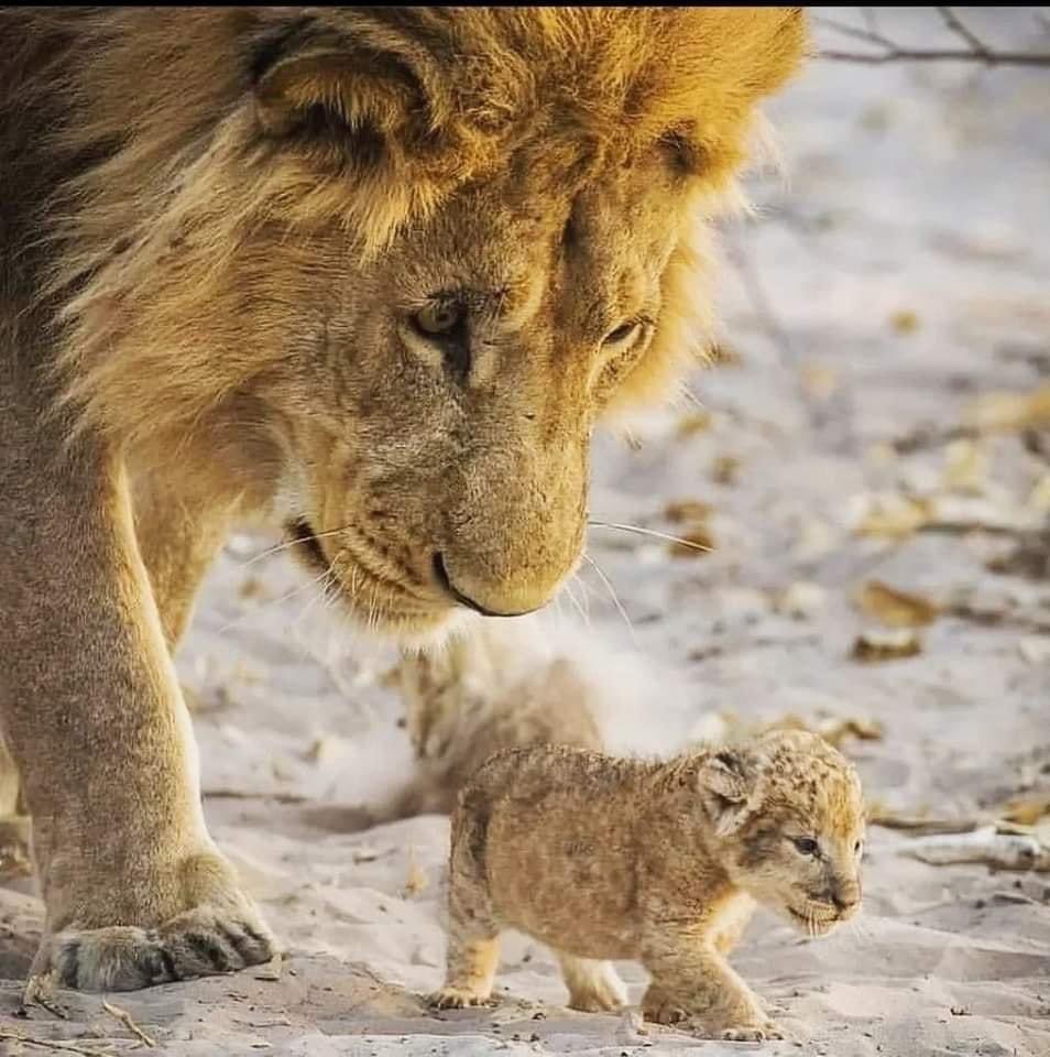 Siempre juntos..