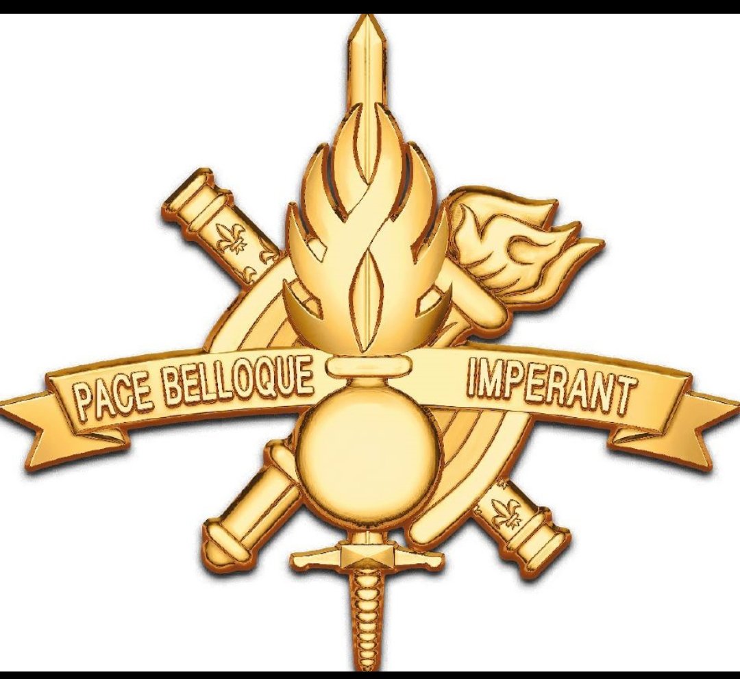 c1_eogn's tweet photo. L'#EOGN c'est aussi la #formationcontinue, consubstantielle aux carrières militaires.
➡️ Remise des brevets aux #officiers du cours supérieur d'enseignement militaire gendarmerie #CSEMG. Ce sont nos lauréat de l'école de guerre. @ecoledeguerre https://t.co/alhXPe8bdw