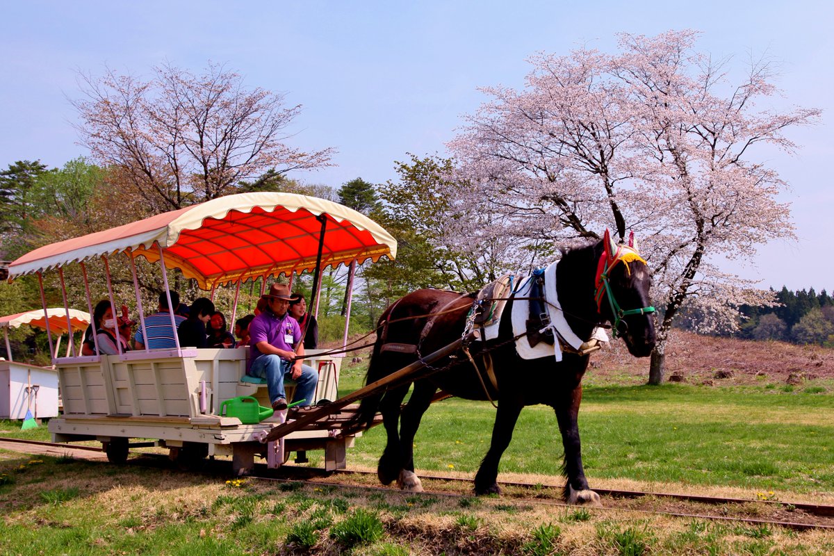 小岩井農場のトロ馬車🐴
桜もきれいでした🌸🥰
#小岩井農場 #トロ馬車 #小岩井 #koiwaifarm #風景写真 #岩手 #日本の風景 #写真好きな人と繋がりたい #キリトリセカイ #ファインダー越しの私の世界  #landscape #小岩井農場まきば園 #桜 #サクラ #桜のある風景 #cherryblossom #岩手県 #ゆる鉄 #馬