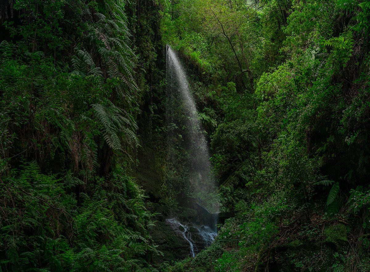 Imanolzuaznabar's tweet photo. Hoy he hecho una entrada en el blog sobre qué visitar en una jornada en La Palma descubriendo sus más intensos contrastes, un recorrido desde la costa Sur hasta sus cumbres.

https://t.co/Ue5uKihHpS
