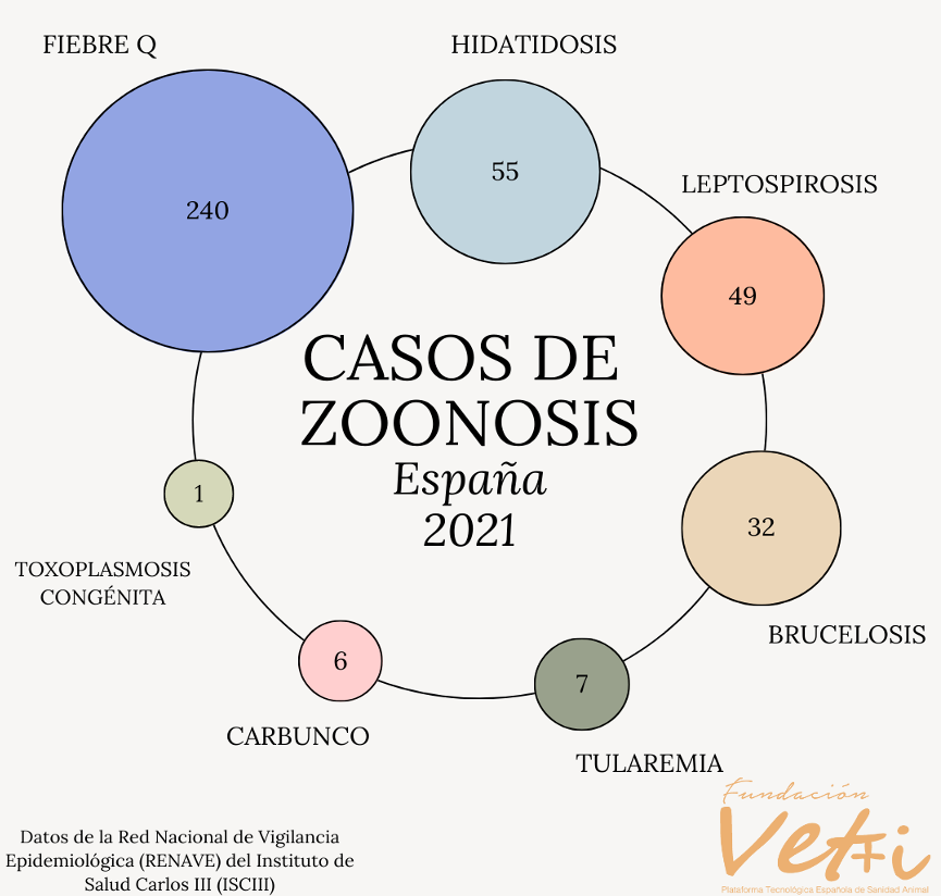Vetmasi's tweet photo. La RENAVE del @SaludISCIII  ha publicado un informe sobre los casos de #zoonosis registrados en 2021 en España, siendo la Fiebre Q la de mayor incidencia.¿Sabías que se trata de una zoonosis ocupacional de aquellos que trabajan con animales/sus productos? https://t.co/AalTY6mKbM https://t.co/DccIqF8DOg