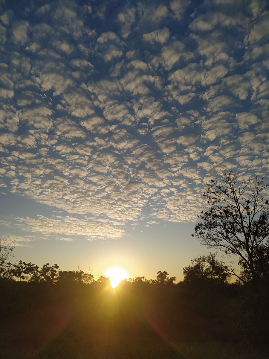 Hoy Día Internacional de Celebración del Solsticio Inti Raymi Yasitata Gasu