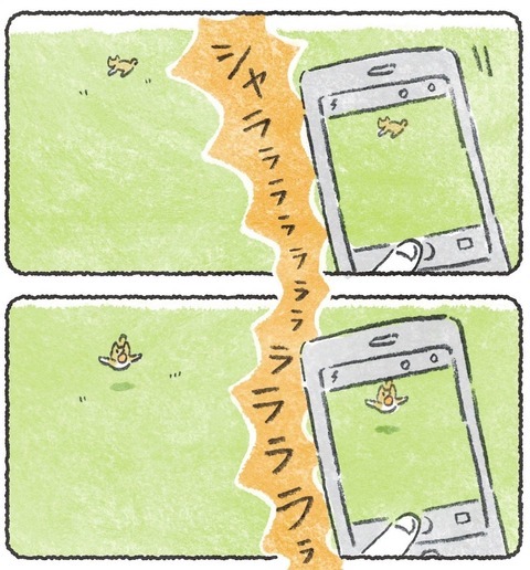 犬は連写で撮ってる🐕  